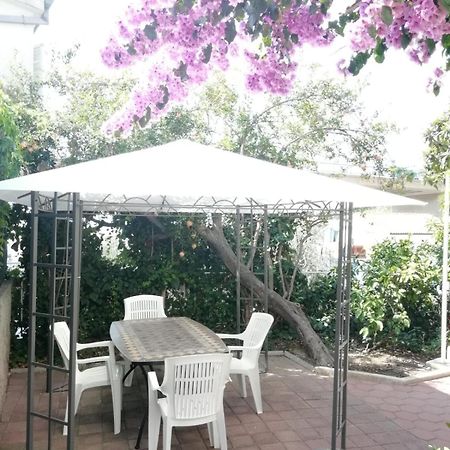 Apartmani Ivona Podgora Esterno foto