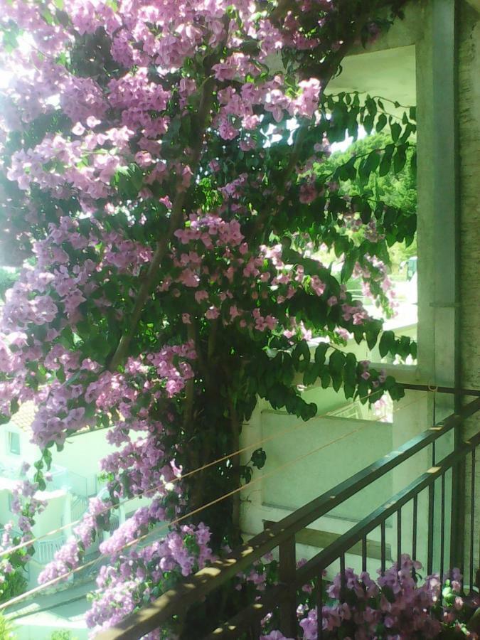 Apartmani Ivona Podgora Esterno foto